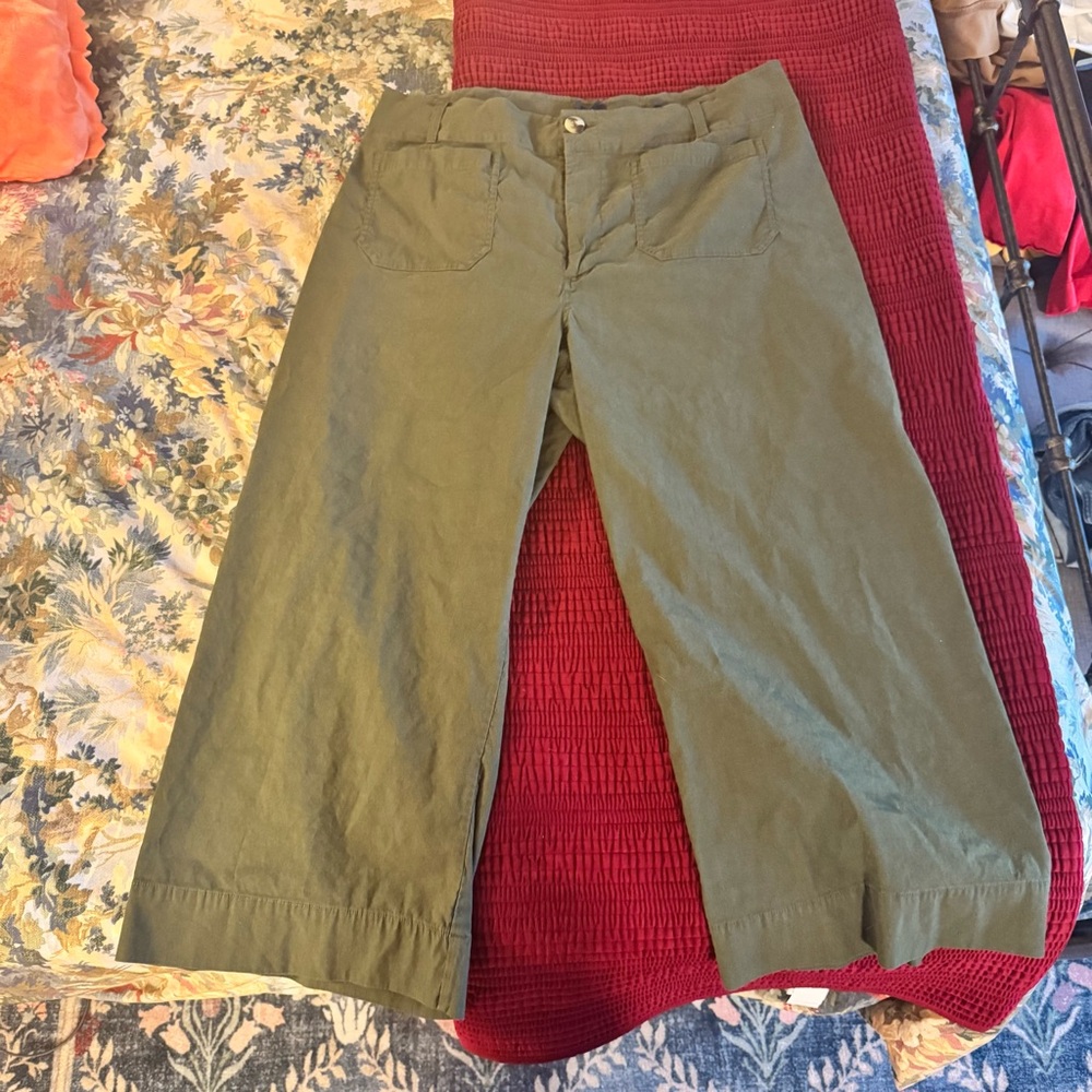 Anthropologie Maeve Collette pant in Magic Fabric
